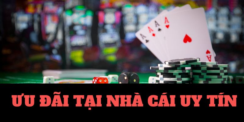 đá gà casino dau truong game bai doi thuong