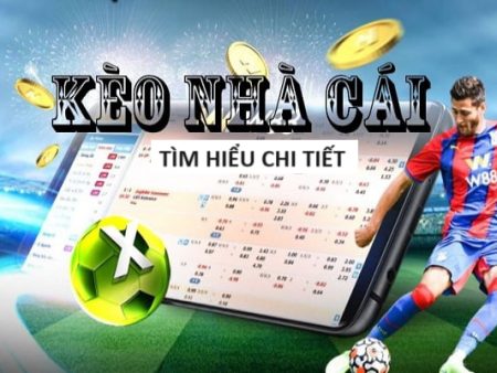 Bật mí 5 cách chơi Baccarat online từ cao thủ trong nghề Bocvip